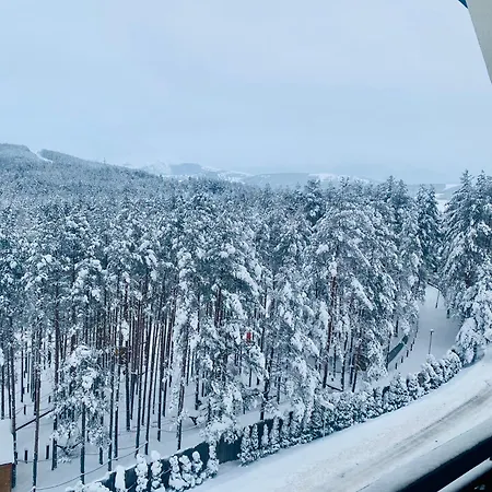 Zlatni Bor Apartment *