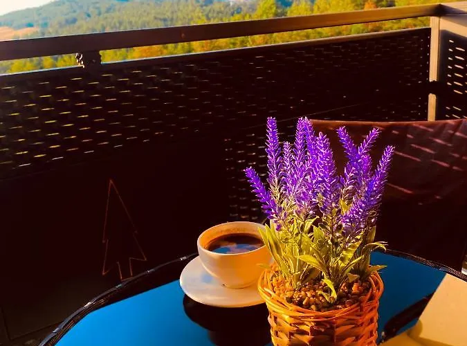 Zlatni Bor Apartman *