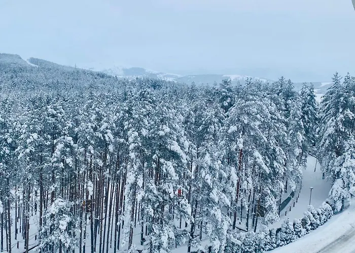 Zlatni Bor Apartman *